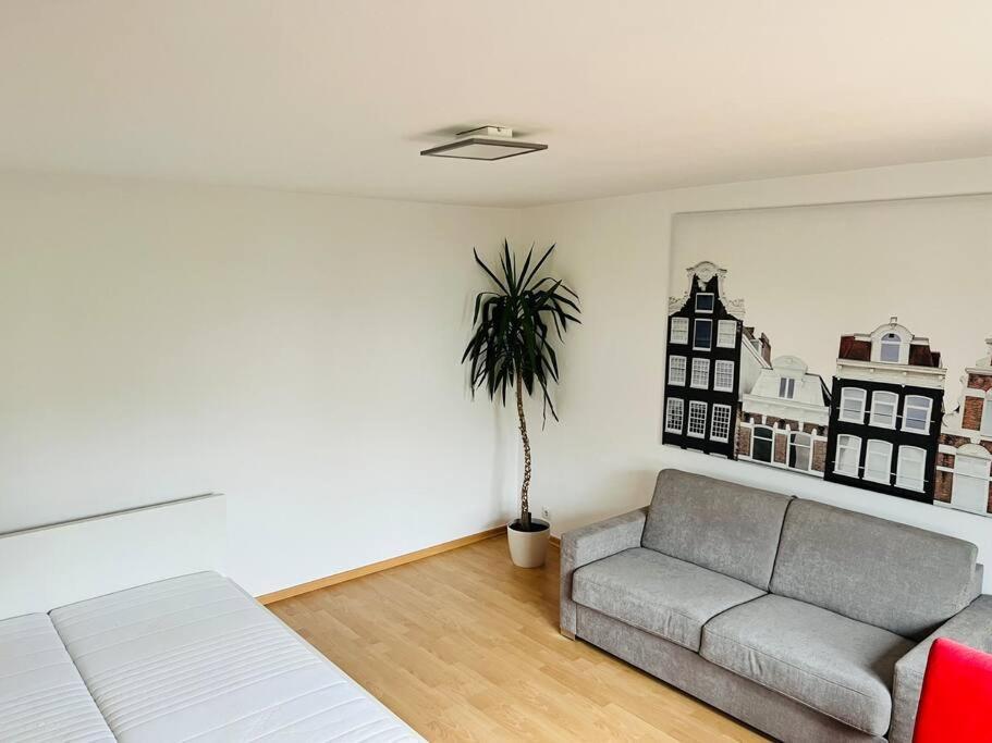 Ferienwohnung In Rheinnaehe Rheinbreitbach Exteriér fotografie